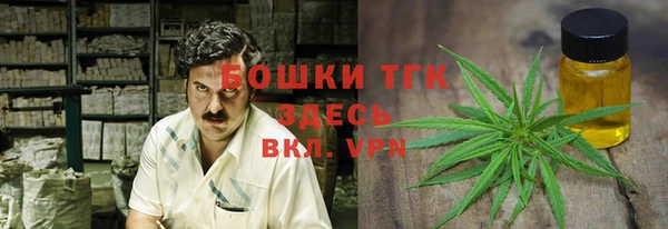 мет Арсеньев