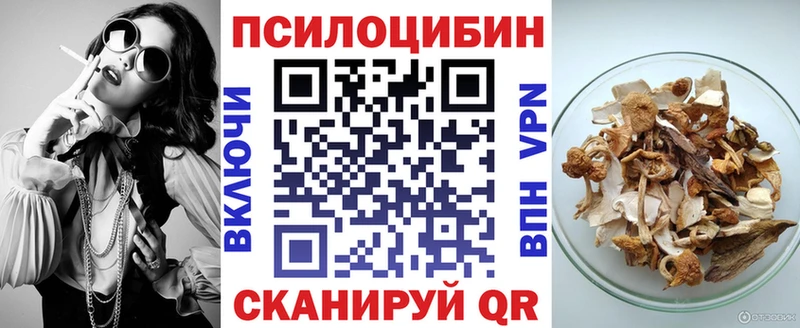 Псилоцибиновые грибы прущие грибы  Чернушка 