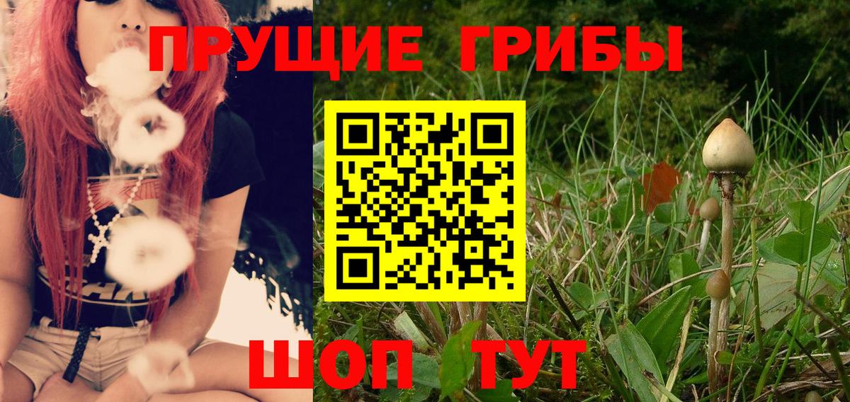 Галлюциногенные грибы Magic Shrooms Чернушка