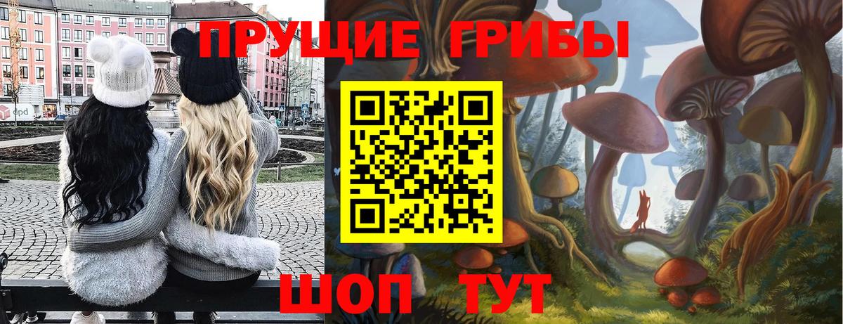 Чернушка  Галлюциногенные грибы Psilocybine cubensis  купить закладку  Вход с VPN 