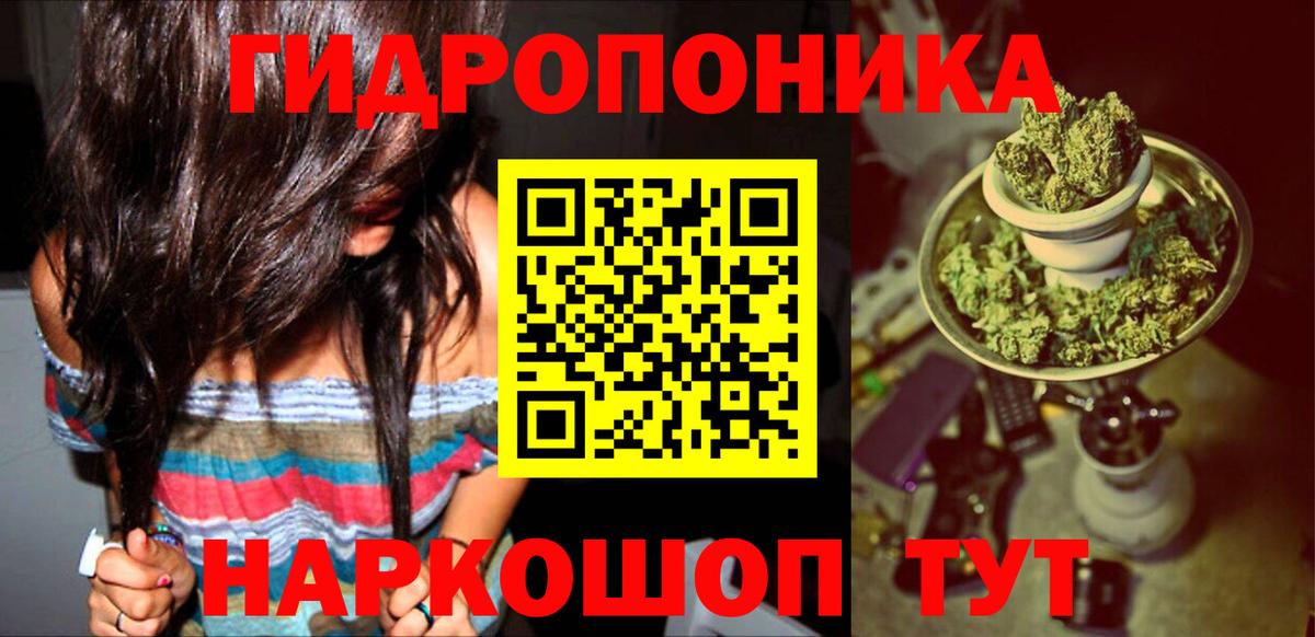 Канабис сатива Чернушка